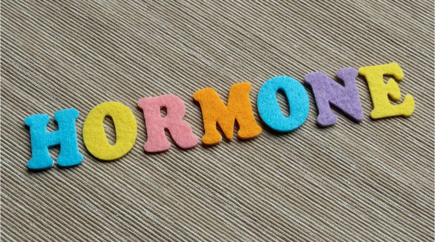 Bioidentische Hormone